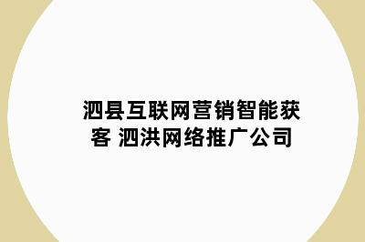 泗县互联网营销智能获客 泗洪网络推广公司